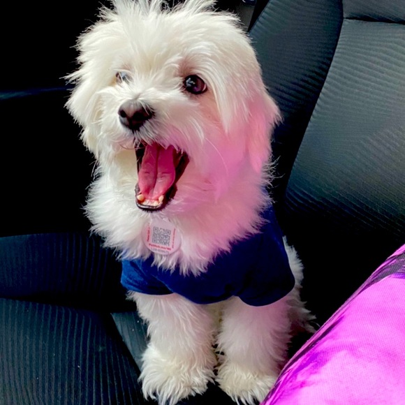 Meet your Posher, Silenny M. IG: World.Silenny ! - Picture 7 of 11